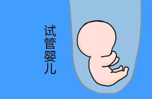 关于国内试管供卵代孕